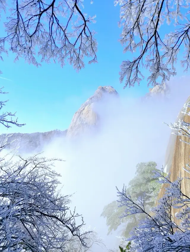 Huangshan has such breathtaking wonders that this trip is worthwhile