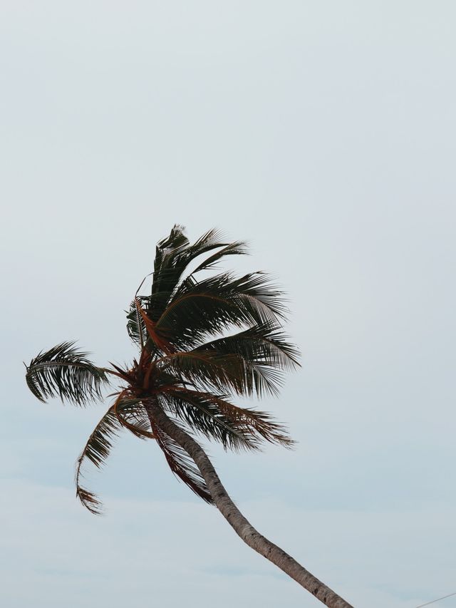 Thulusdhoo Island, Maldives 🇲🇻🏝️