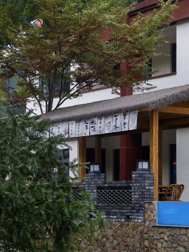 宜興｜初秋來這個隱世小院大口吸氧