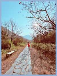 湖州旅行野趣盎然霞幕山上陸羽古道神走茶聖徒步