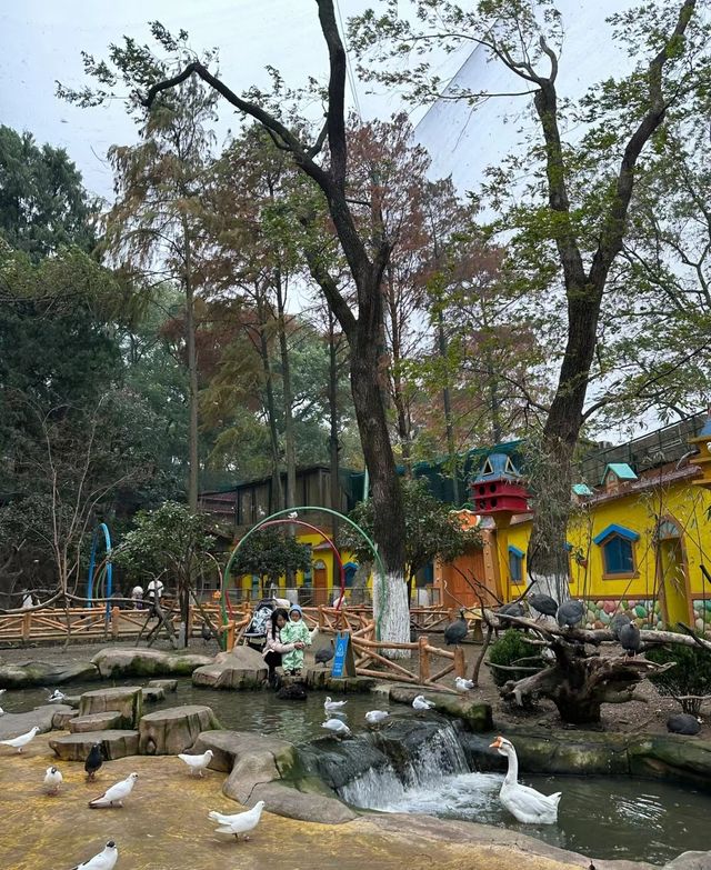 陰雨天不能錯過的戶外遛娃