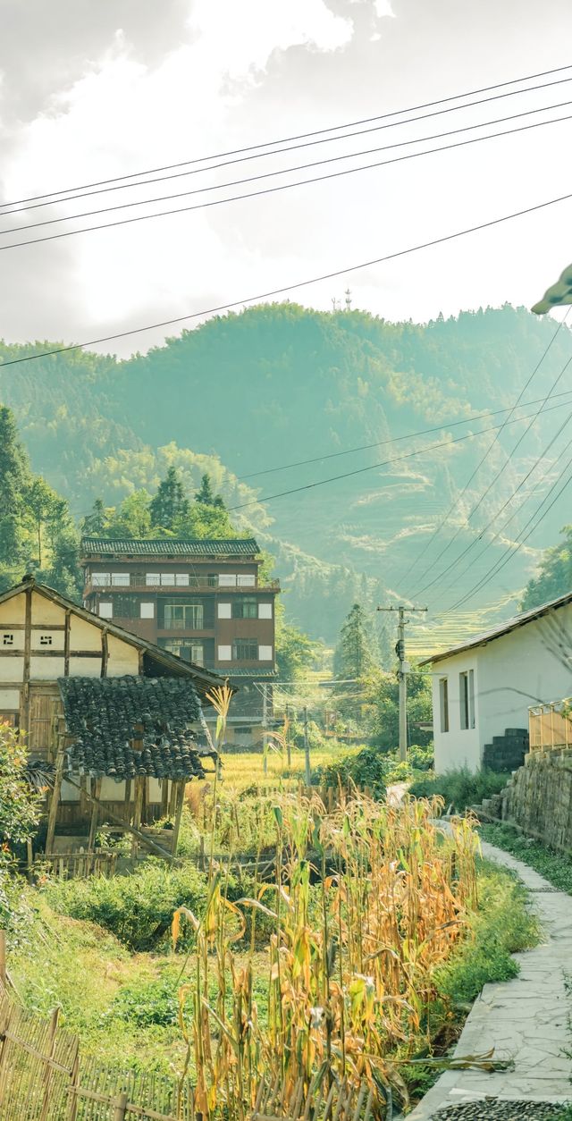 國慶周邊鄉村遊