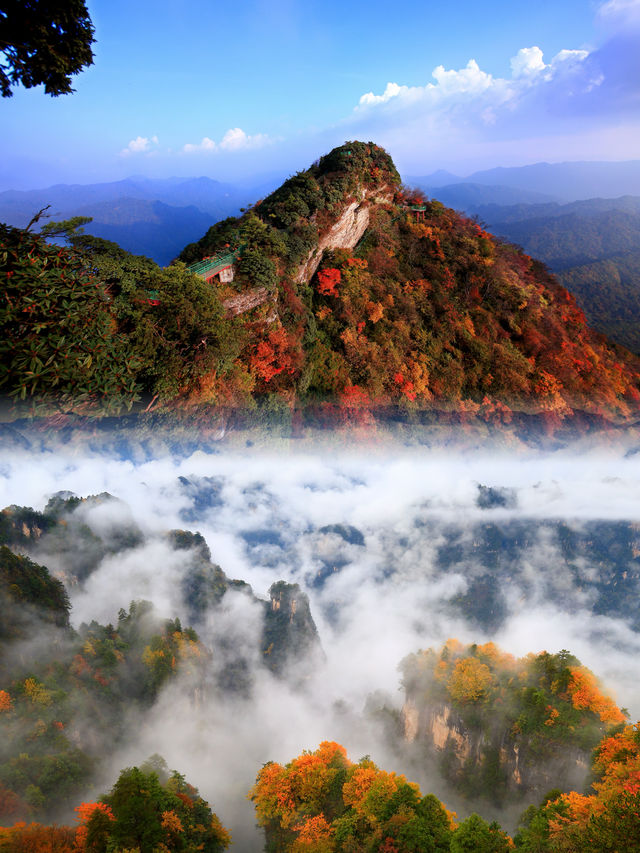 盡在巴中  俗話說：九寨看水，光霧看山