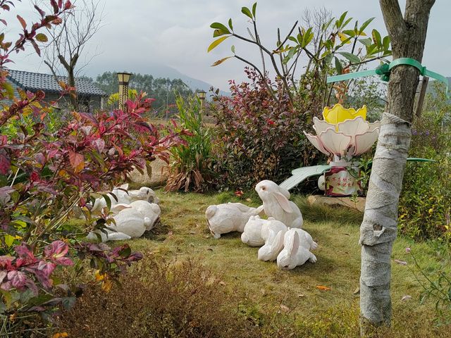 河西街道鰲頭公園冬日即景