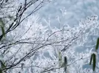 不是四姑娘山去不起，而是龍王山更有性價比