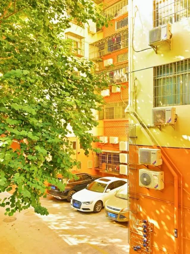 Shekou Citywalk | The mottled light and shadow in front of the old house