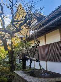 京都郊區一日遊