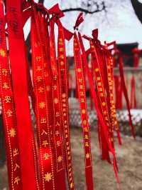 體驗多民族文化的魅力，快來民族園裡過大年喽！