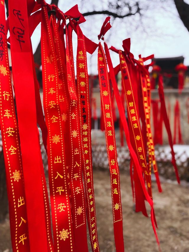 體驗多民族文化的魅力，快來民族園裡過大年喽！