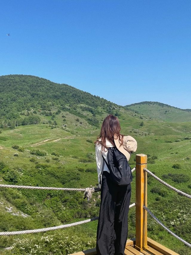 聖王坪大草原好美～好像來到了光遇雲野