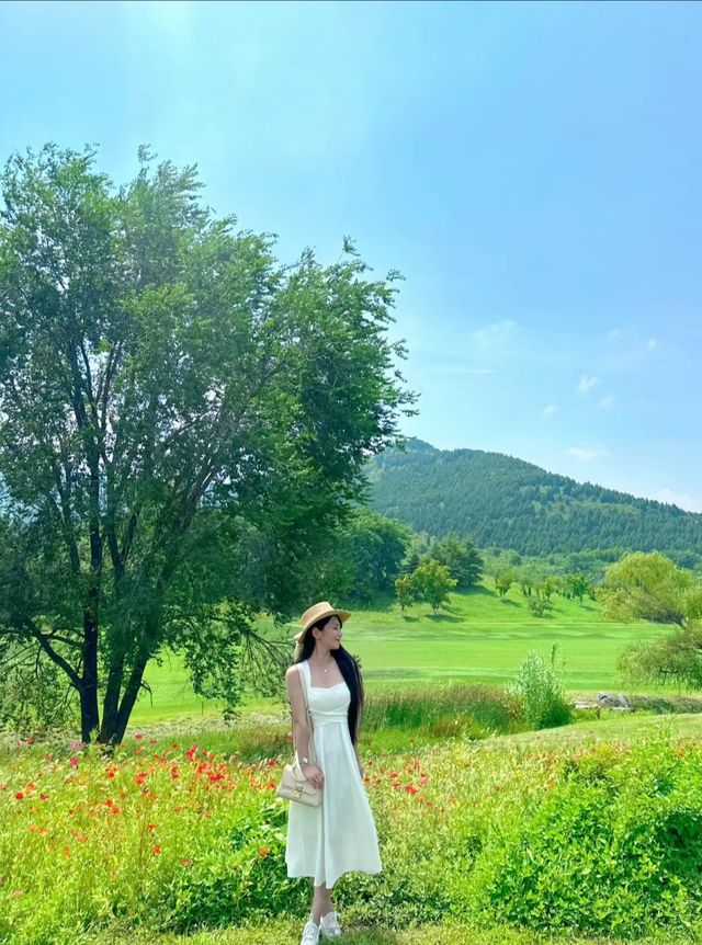 啊，在济南，油画莫奈花園，不是新疆好美啊！