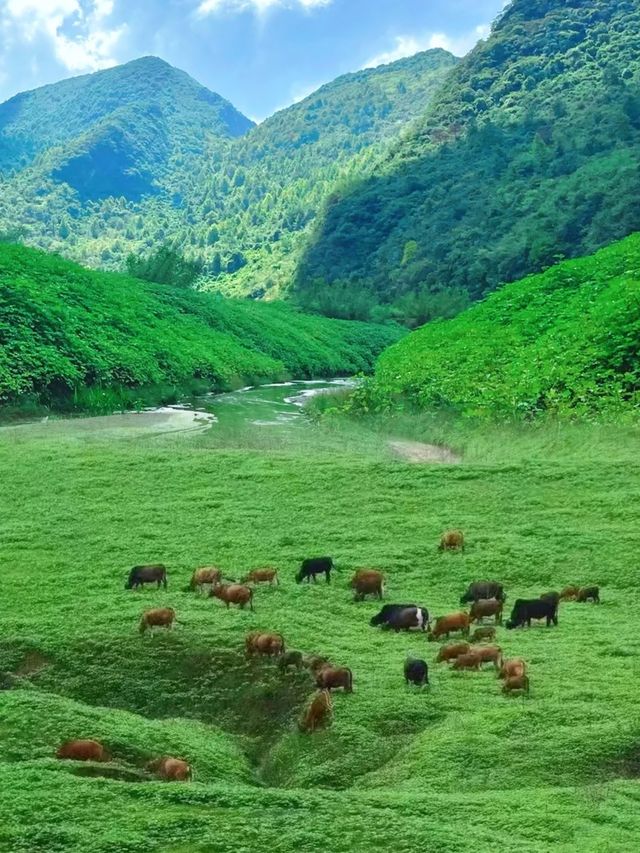 牛湖線，隱匿在深山裡的大草原