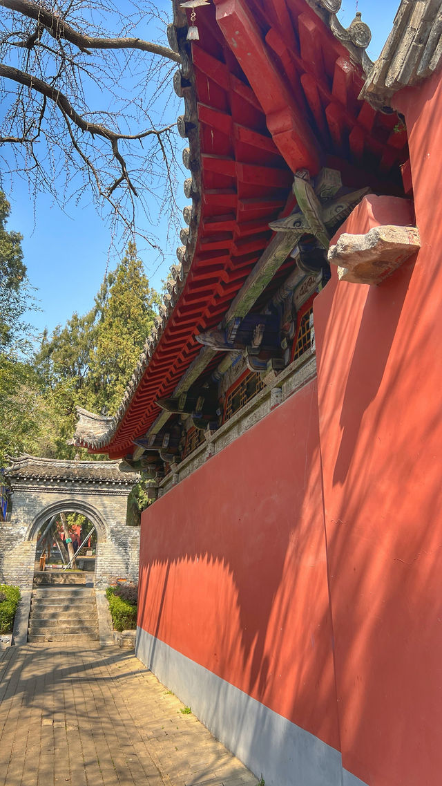 臥龍崗
