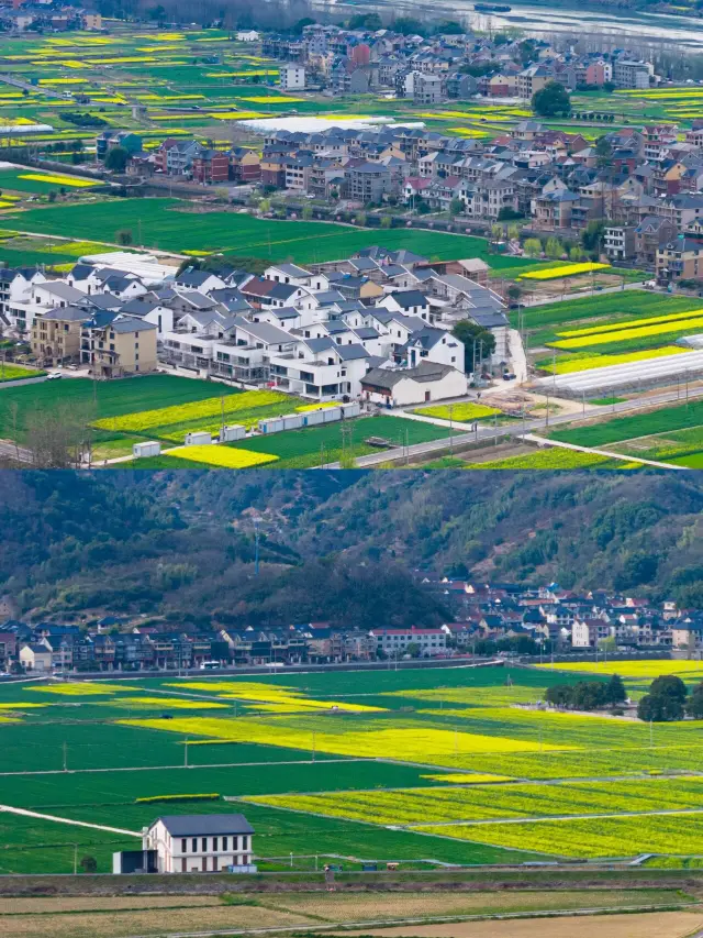 In Zhejiang, I finally found the dreamy, stunning flower fields I had been searching for