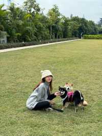 在深圳…帶狗子來個staycation吧！