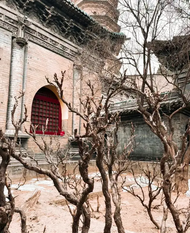 영조사| 네백 년 전의 목단 릉소 쌍탑을 놓치지 마세요