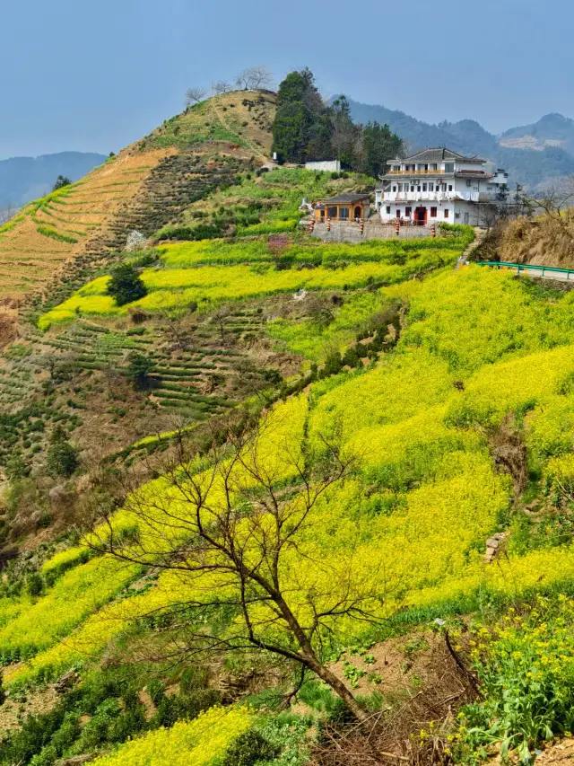 Exploring the Hidden Gem of Southern Anhui: The Beauty of Cloud Sea and Sunrise and Sunset in Shitan Village, She County