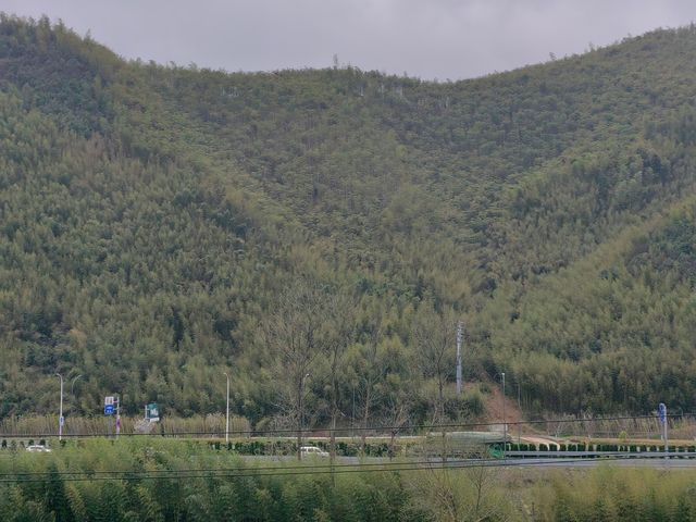 春日的莫干山，逍遙又自在