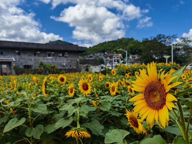 綠樹村邊合，青山郭外斜