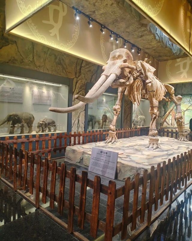 白帝城+瞿塘峽暢遊指南