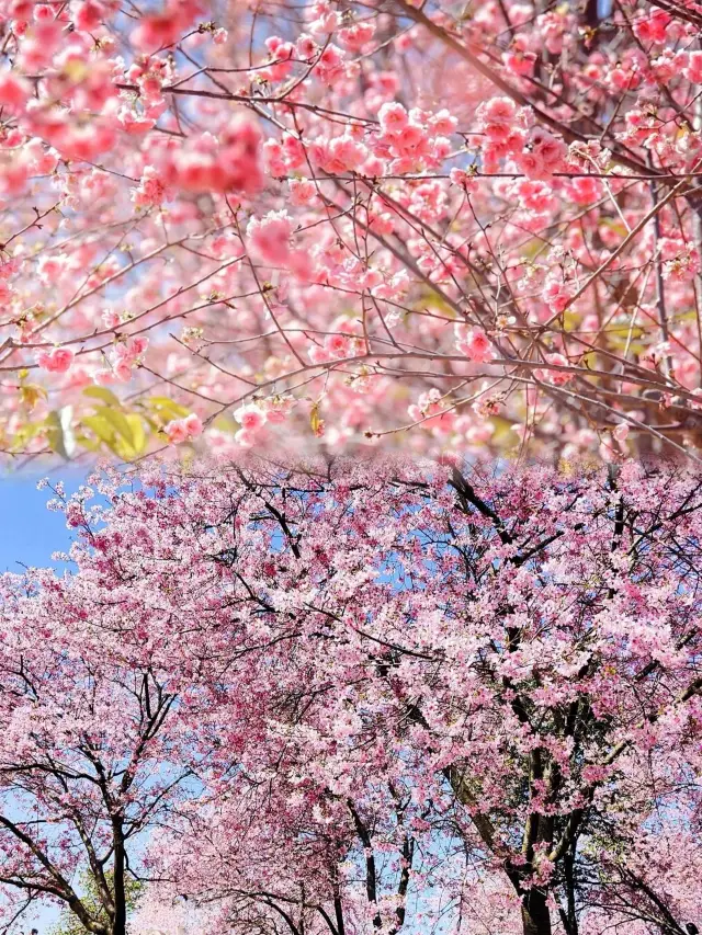 광동성에서 주말 하루에 왕복할 수 있습니다