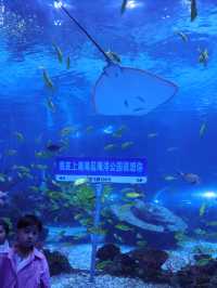 第五次刷海昌,這份保姆級攻略碼住