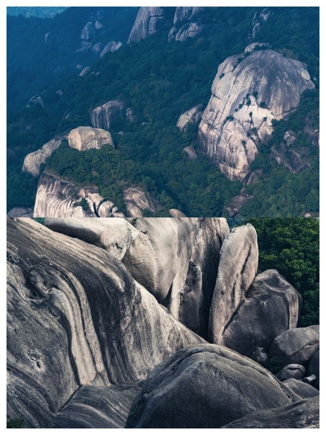 山不見我，我自去見山