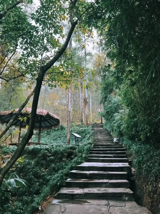 Longquan's Yantianwo really doesn't need a guide, just put on your shoes and you can climb!