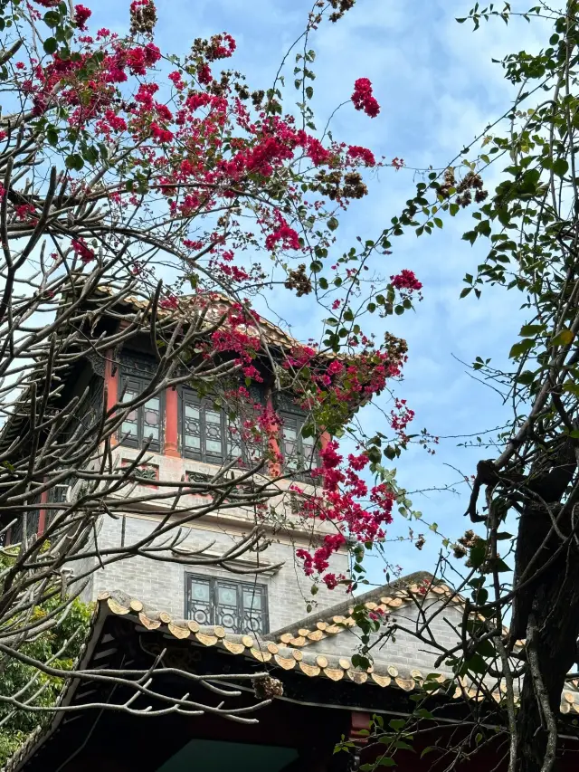 Shunde Qinghui Garden