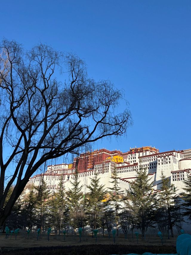 23歲一個人去西藏丨七天窮遊版攻略