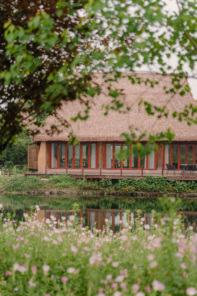 The early summer beauty of Liangzhu in Hangzhou is absolutely stunning, akin to the idyllic countryside depicted in comics.