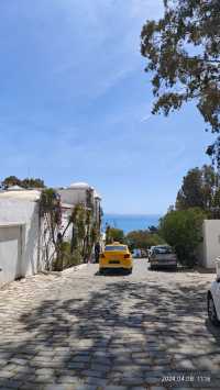 突尼斯的藍白小鎮：西迪·布·賽義德（1）