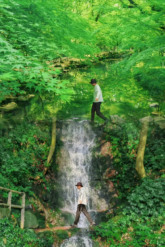 This is the most comfortable road I've walked this year | Streams, ancient trails, waterfalls~