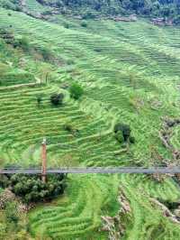 四月份的篁嶺景區