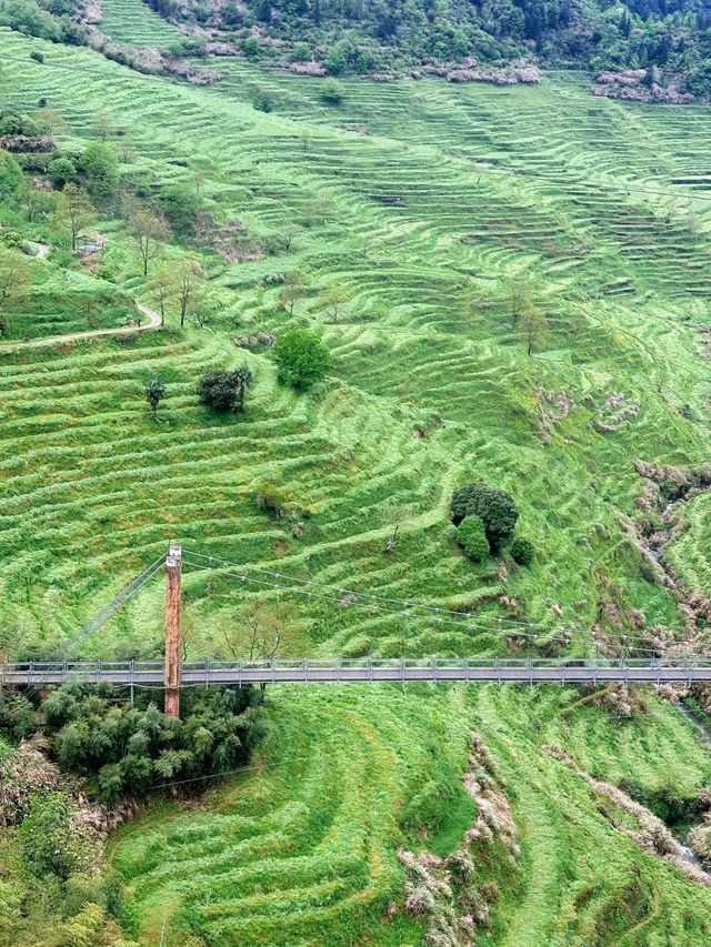 四月份的篁嶺景區