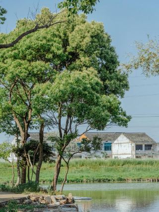 People from Jiangyin might not even know this place