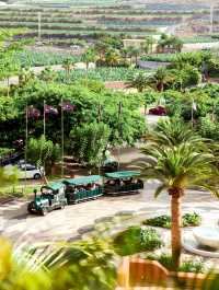 The Ritz Carlton Abama