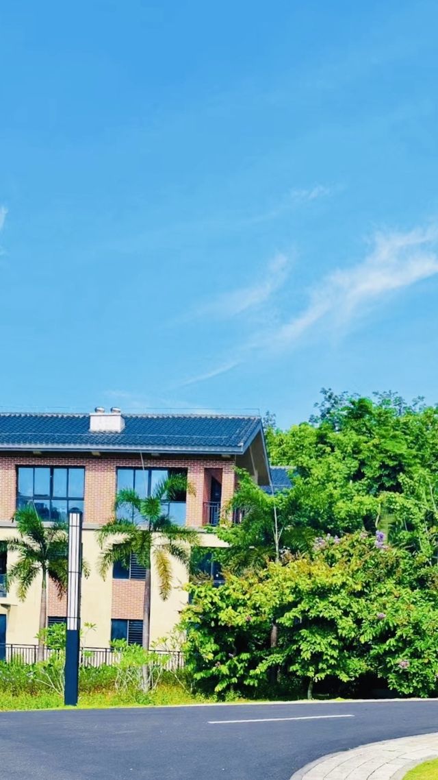藏在中部的小瑞士，藏在雨林中的，沉浸大自然的美！