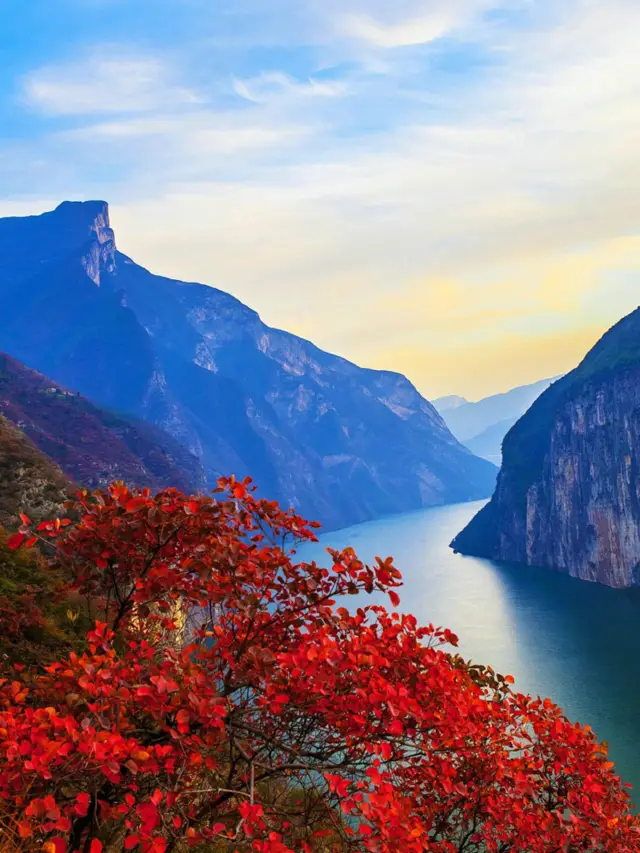 Red leaves intoxicate the gorges, this is the reason to visit the Three Gorges in autumn and winter!