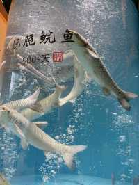 深圳4天3晚怎麼玩？