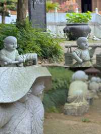天台山寶華禪寺｜度一切苦厄