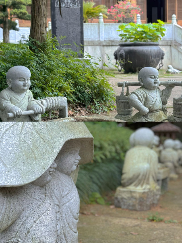 天台山寶華禪寺｜度一切苦厄