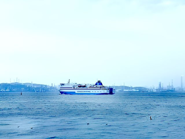 美麗東港