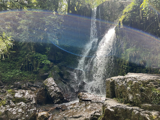 龍苍溝國家級森林公園