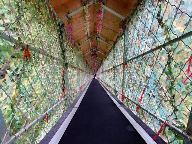 北方第一瀑：河南洛阳栾川王府竹海
