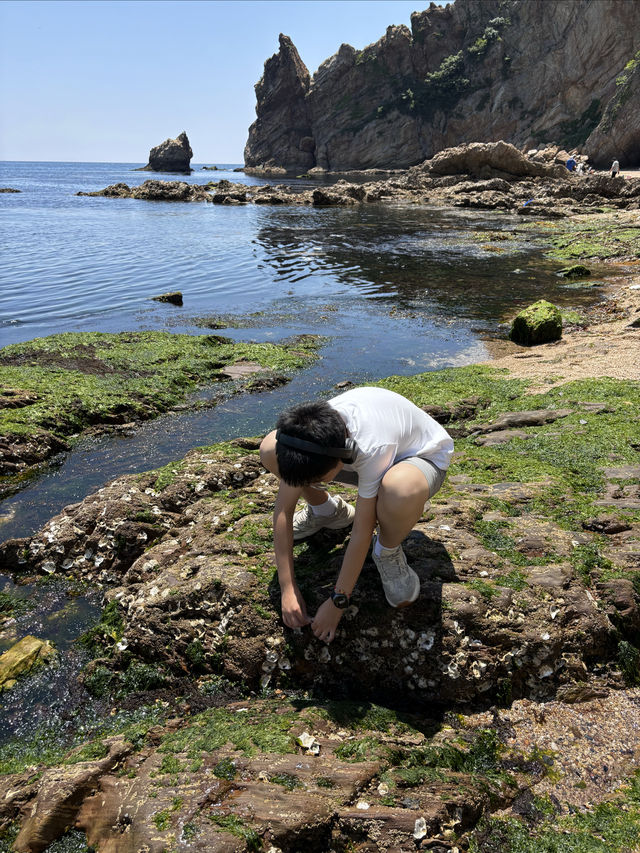 大連近市內絕美露營地！！游泳趕海絕佳！！