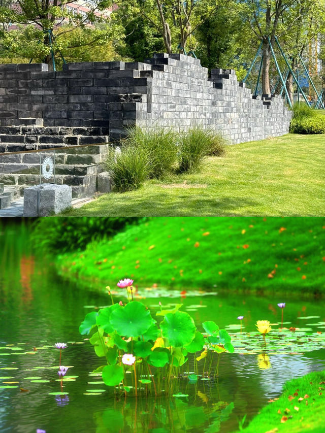 有這樣一個浪漫且獨屬於成都的公園！！摩訶池