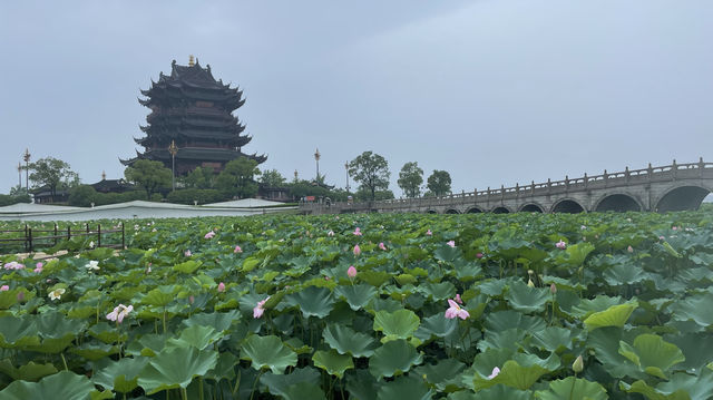 重元寺：陽澄湖上盛開的蓮花🪷｜Trip.com 蘇州