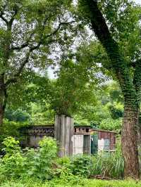 重慶 | 陳電村