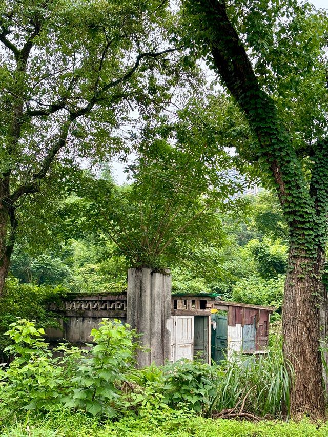 重慶 | 陳電村